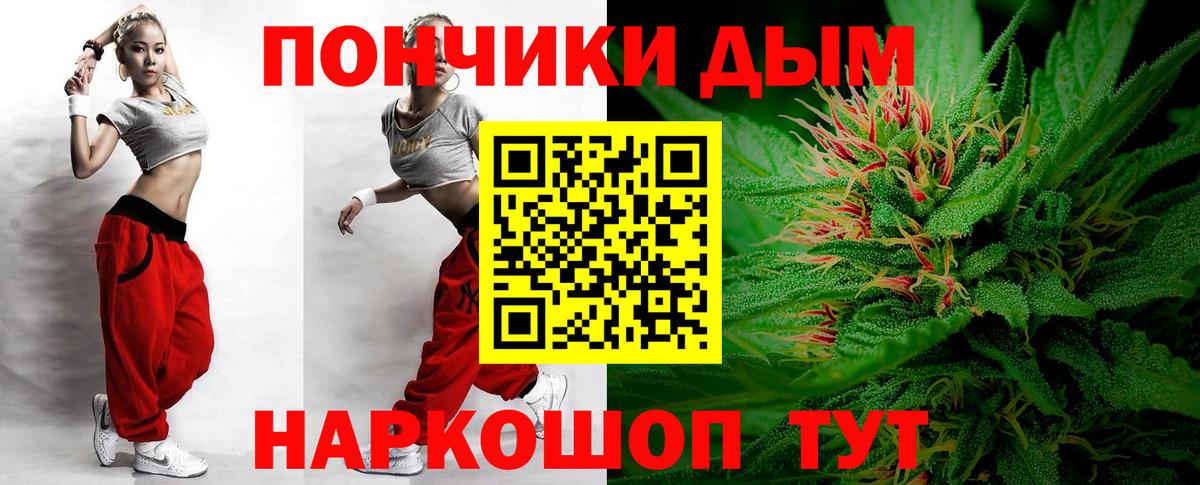 Конопля сатива Черняховск